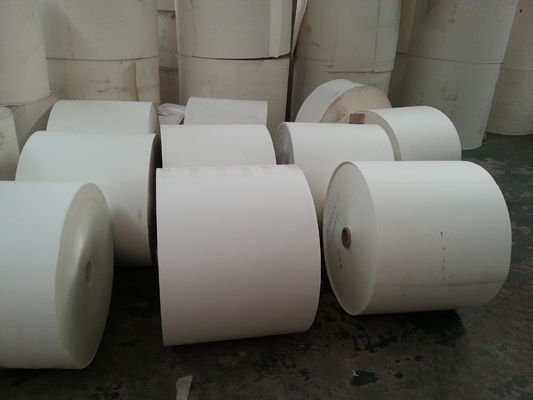 Custom Paper Cup Raw Material Printed Paper Roll with Offset & Flexo Printing